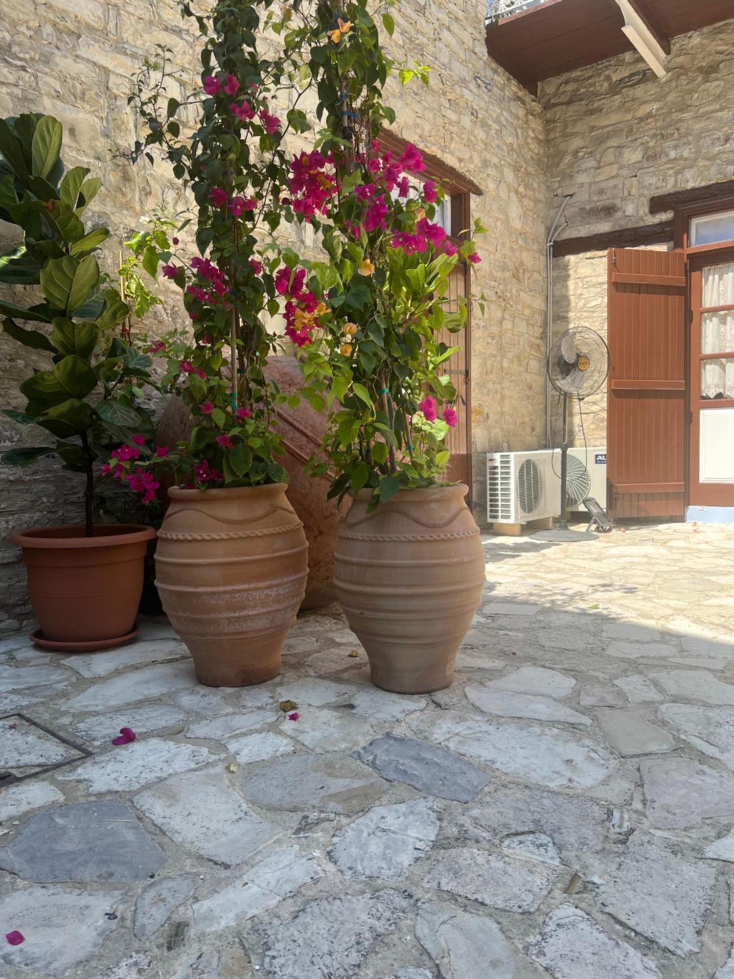 Villa Theodorou Lefkara Екстер'єр фото